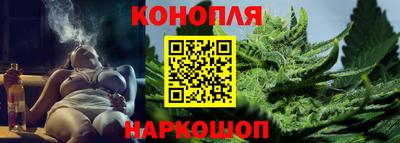 шишки Нальчик