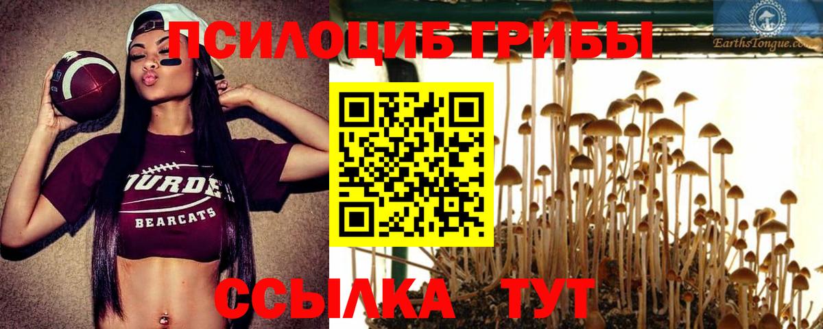 Псилоцибиновые грибы Magic Shrooms  Вход с VPN  Галлюциногенные грибы Magic Shrooms  Армавир 